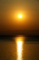 /album/%ce%ba%ce%b1%ce%bb%ce%b1%ce%bc%ce%ac%cf%84%ce%b1-2013/dsc0119-jpg/